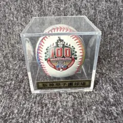 第85回全国高校野球選手権大会記念品 - メルカリ