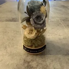 ◇ハーバリウム 251 優しいお色のbottle *.:。アンティーク