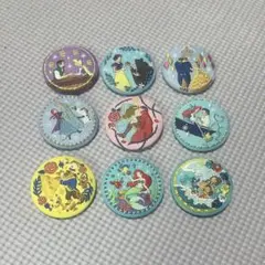 ディズニー プリンセス 刺繍缶バッジ 6個セット