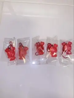 TWICE LOVELYS グミ＆チャーム チェヨン×5個