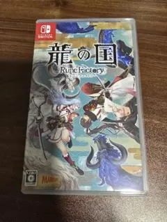 Switch 龍の国 ルーンファクトリー