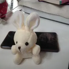 クリーム色ウサギ型ぬいぐるみ