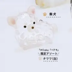 うちの子のけだまだま 犬 チワワ(白) シープラ ペテモ ガチャ