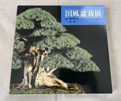 2025年最新】国風盆栽展の人気アイテム - メルカリ