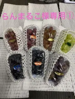 らんまるこ様専用①よりどり詰合せと訳ありシナノスイート