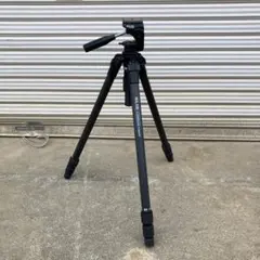 21868491_3