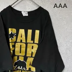 AAA アルスタイル Tシャツ 半袖 カリフォルニア共和国 ビッグ 2XL