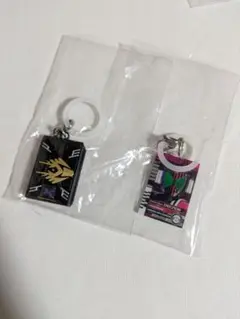 仮面ライダーめじるしアクセサリー カードライダー セット