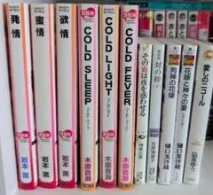 BL小説　まとめ売り　11冊