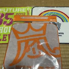 嵐 グッズ ハンドタオル アラフェス ワクワク学校