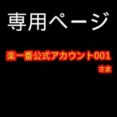 専用