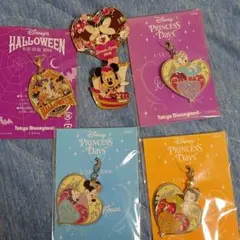 ディズニー　ピンバッジ、チャーム　セット