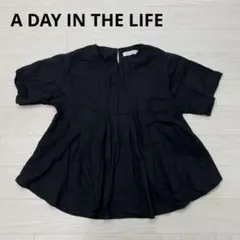 A DAY IN THE LIFE 半袖ピンタックブラウス