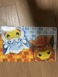 希少 スペシャルBOX『アローラロコン＆ロコンポンチョのピカチュウ