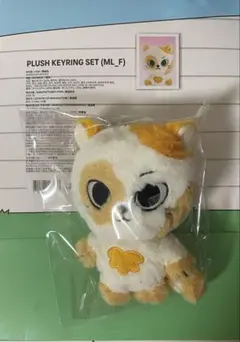 BOYNEXTDOOR Sungho ソンホ BBNEXDO ケッピ　キーリング