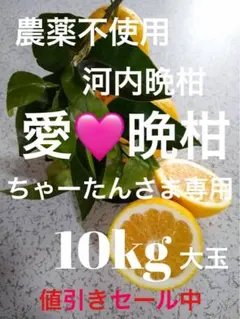 農薬不使用！「愛♡晩柑」木成りみかん大玉サイズ5キロ！愛媛みかん農園直送！のサムネイル