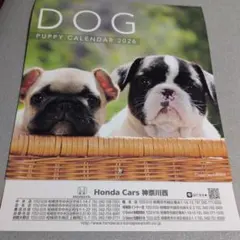 Item thumbnail for item b9c6e967-8b5f-464f-ae91-fee009e09c4b