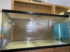 大きめ ガラス水槽 使用済品 中古 汚れあり 引き取り限定(埼玉) 2025年最新】水槽 大型の人気アイテム - メルカリ