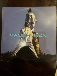 ACKEE & SALTFISH BUSH OUT レコード