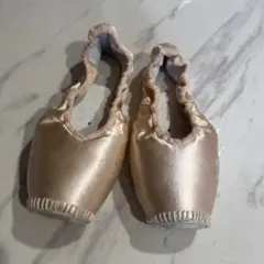 グリシコ　スマートポワントトゥシューズ　size 4 1/2 xxx M