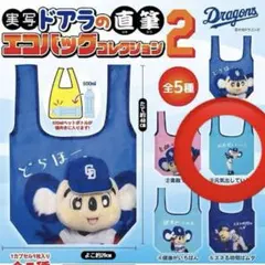 実写ドアラの直筆エコバッグコレクション2