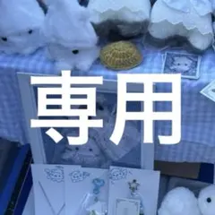 専用出品