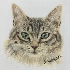 ミニ絵画 猫