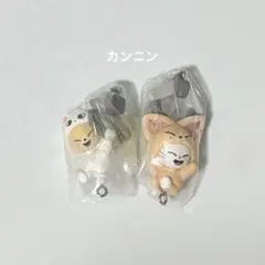 Item thumbnail for item 8085a340-8482-4830-bf83-e8dc4ab7f839