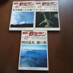 自然と野生ラン 2012年 10月号 11月号 12月号 3冊セット
