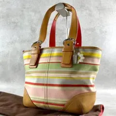 ✨美品✨コーチ　ハンドバッグ　ボーダー　マルチカラー　キャンバス×レザー