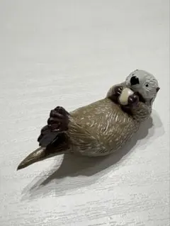 【COLORATA】立体図鑑 マリンママル オリジナルフィギュア　ラッコ