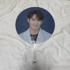 SEVENTEEN JEONGHAN うちわ Ode to You - メルカリ