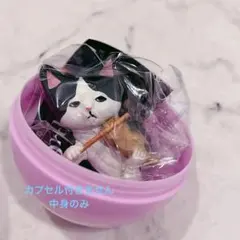 2026年最新】猫のオーケストラの人気アイテム - メルカリ