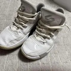 Jordan バスケットボールシューズ ホワイト 30cm