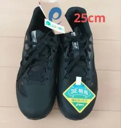 ASICS　アシックス　レーザービームSI 25cm