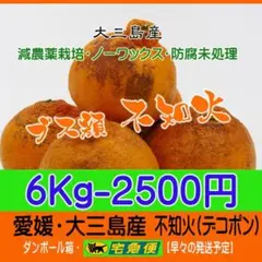 ブス不知火6Kg　（デコポン同品種）ブス顔は味でカバー！