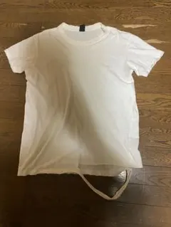 Pledge pete Carl ダメージ加工Tシャツ