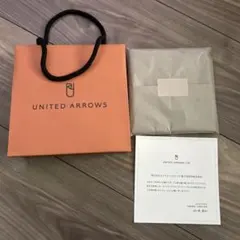 2026株主総会UNITED ARROWS ハンカチ ブルー系のサムネイル