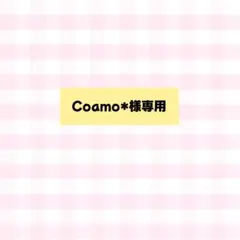 【Coamo* 様専用】洗濯バサミ遊び　手作りおもちゃ　指先遊び