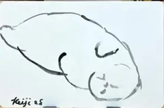 絵画　猫エキゾチックショート