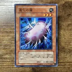 2026年最新】遊戯王 進化の繭の人気アイテム - メルカリ