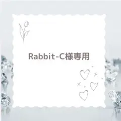 Rabbit-C様専用　ヌビバッグ　サイズS タウンバッグ　サブバッグ