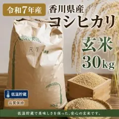 令和7年香川県産 コシヒカリ玄米 30kg 低温貯蔵 - メルカリ
