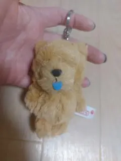 Item thumbnail for item 3daef00c-b120-4129-96f6-fb69c2317311