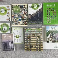 明日の光をつかめ①DVD全9巻(出演), 広瀬アリス ☆廃盤入手困難商品