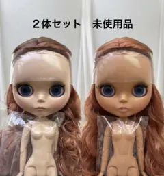 新品アイシードール本体２体セット 2026年最新】アイシードール 本体の人気アイテム - メルカリ