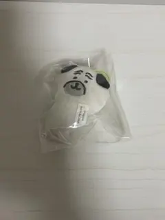 ナガノキャラクターズ　ナガノのくま　ぬいぐるみmini ガチャ パグ　マスコット