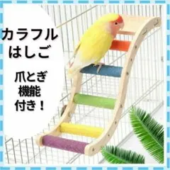 Item thumbnail for item d1b1a34c-fb30-4d02-8ba2-70f7fe84cfc0