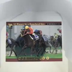 スエヒロジョウオー G1勝利トレーディングカード