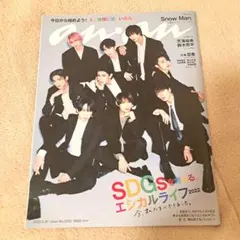 anan No.2292 anan SnowMan